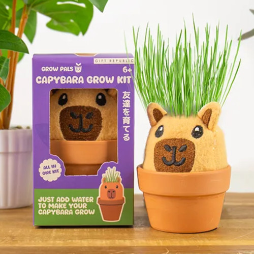 Capybara grow pal - capybara,